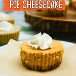 mini pumpkin pie cheesecake on a plate.
