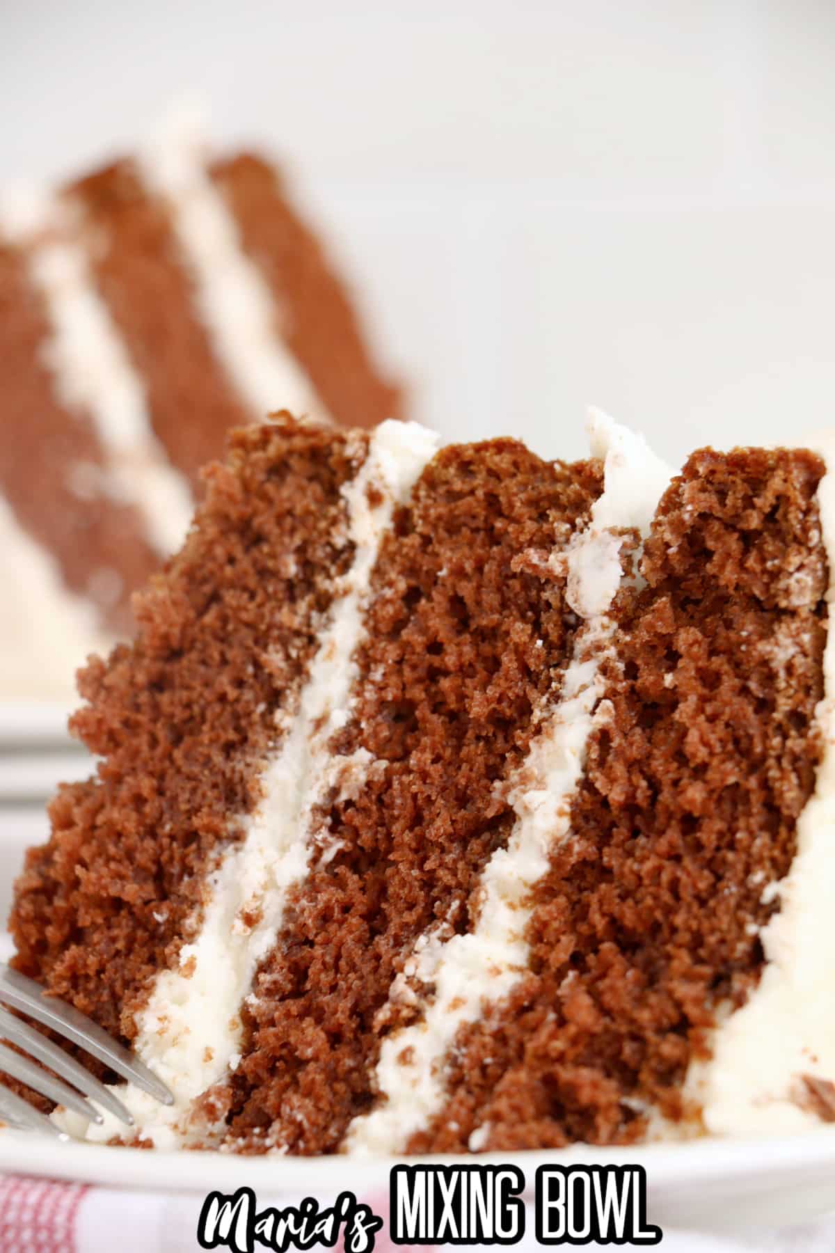 slice of naked chocolate cake on a plate.