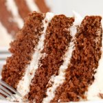 slice of naked chocolate cake on a plate.