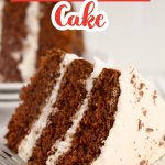 slice of naked chocolate cake on a plate.