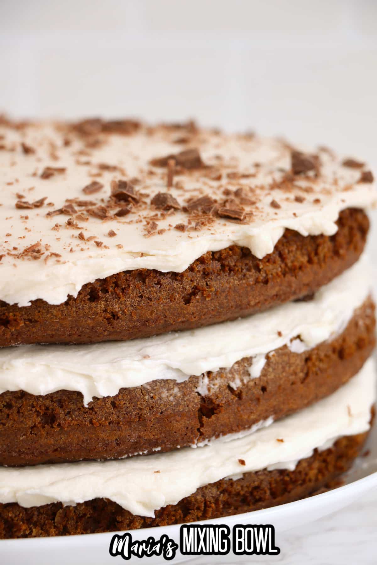 uncut naked chocolate cake on a plate.