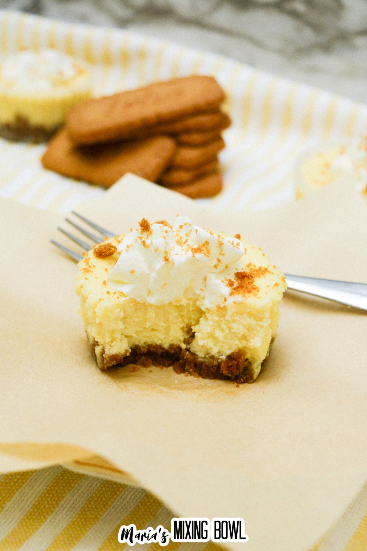 mini biscoff cheesecake with a bite missing.