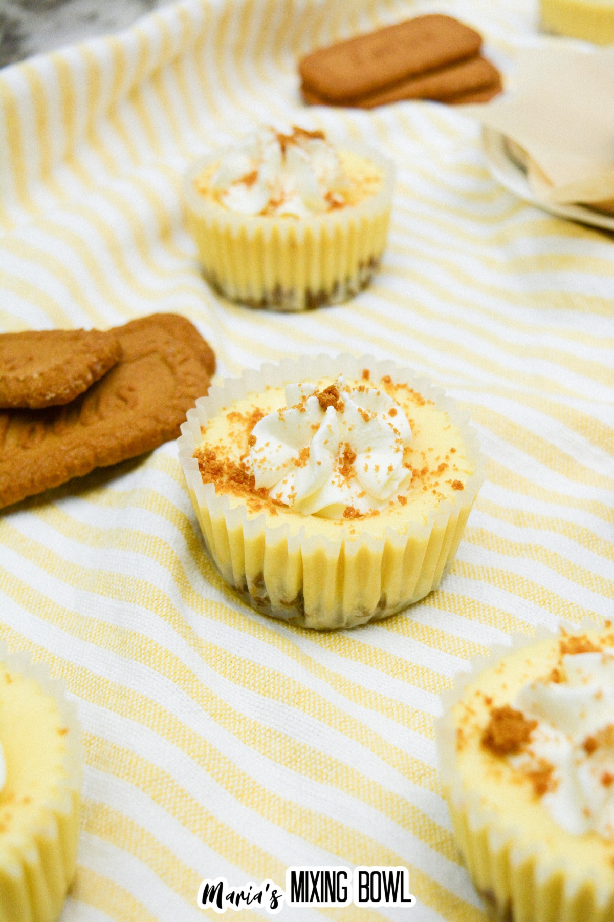 whole mini biscoff cheesecake on a kitchen towel.