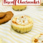 whole mini biscoff cheesecake on a plate.
