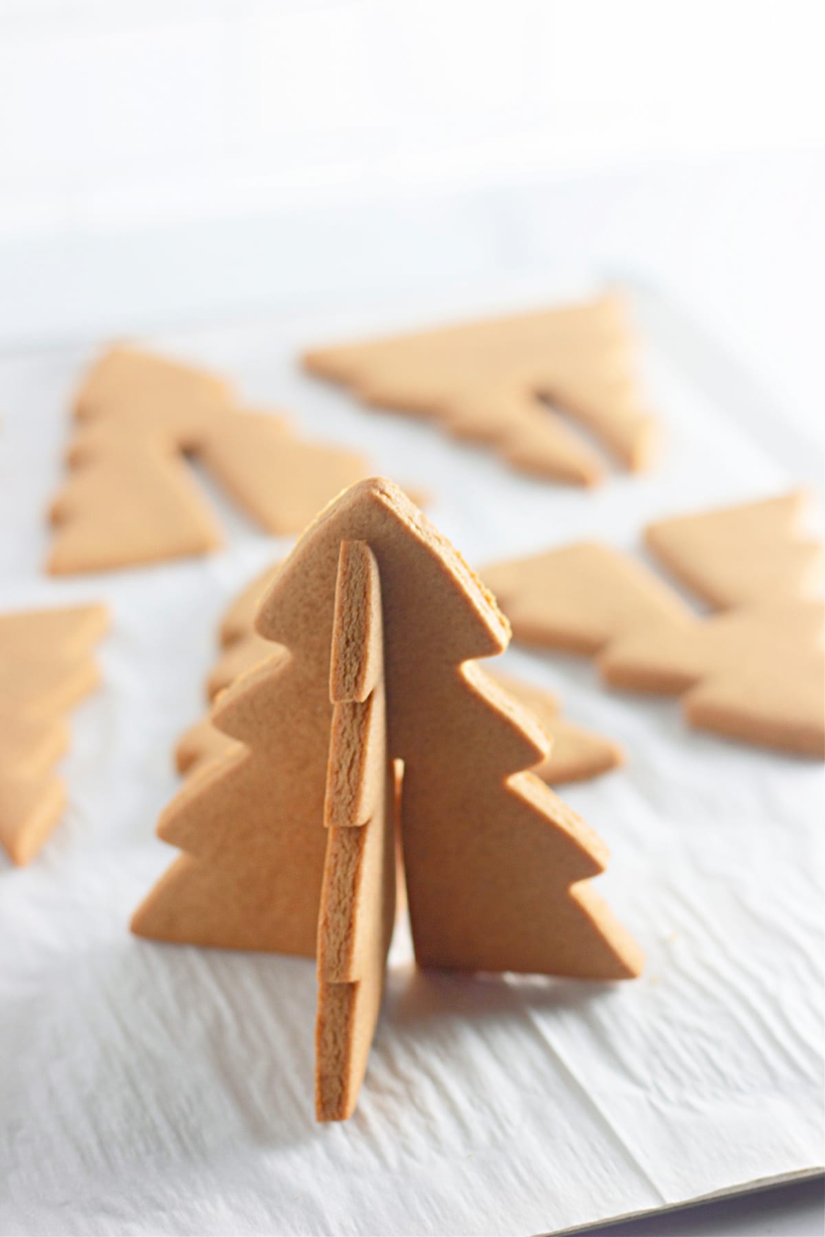 3d gingerbread trees being assembled on a baking sheet.