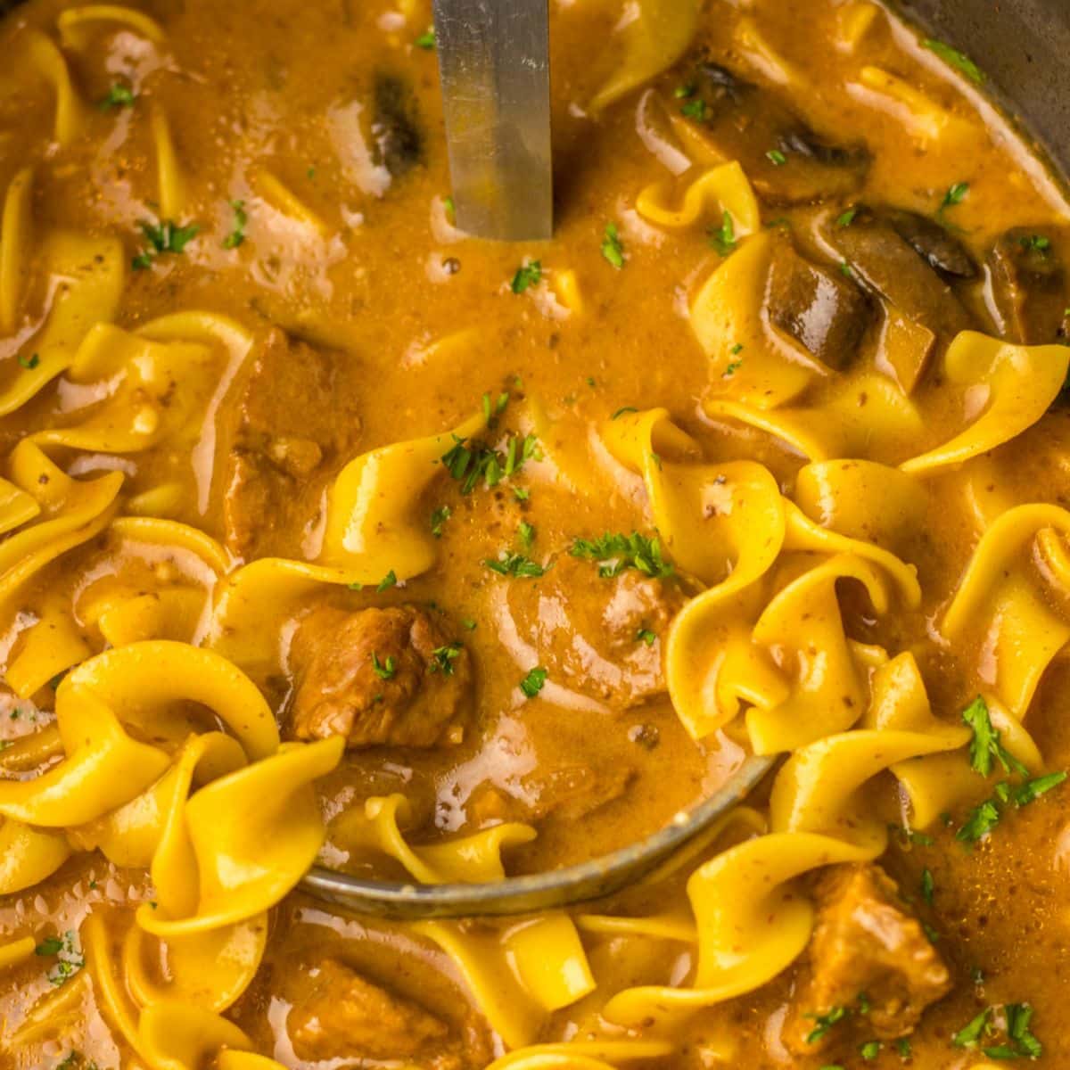 slow cooker filled with beef mushroom soup.