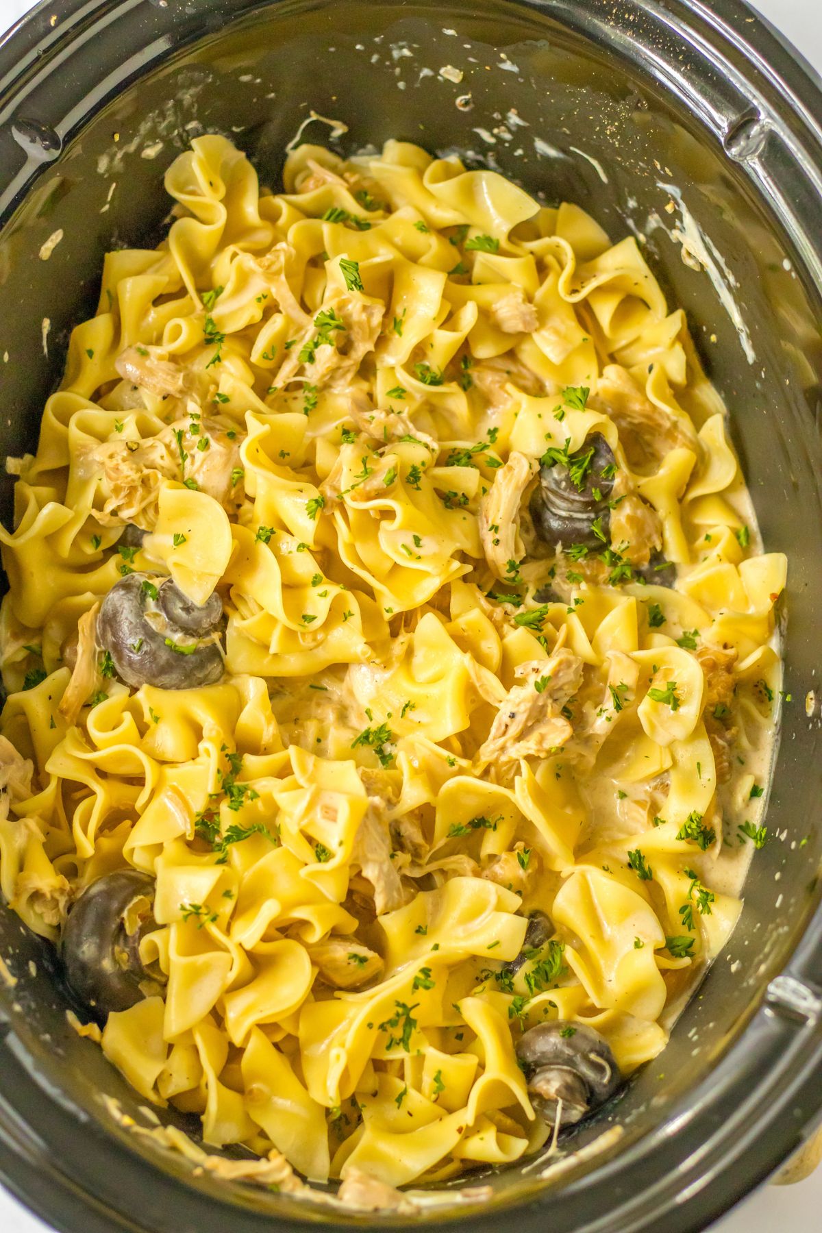 chicken mushroom stroganoff in a slow cooker.