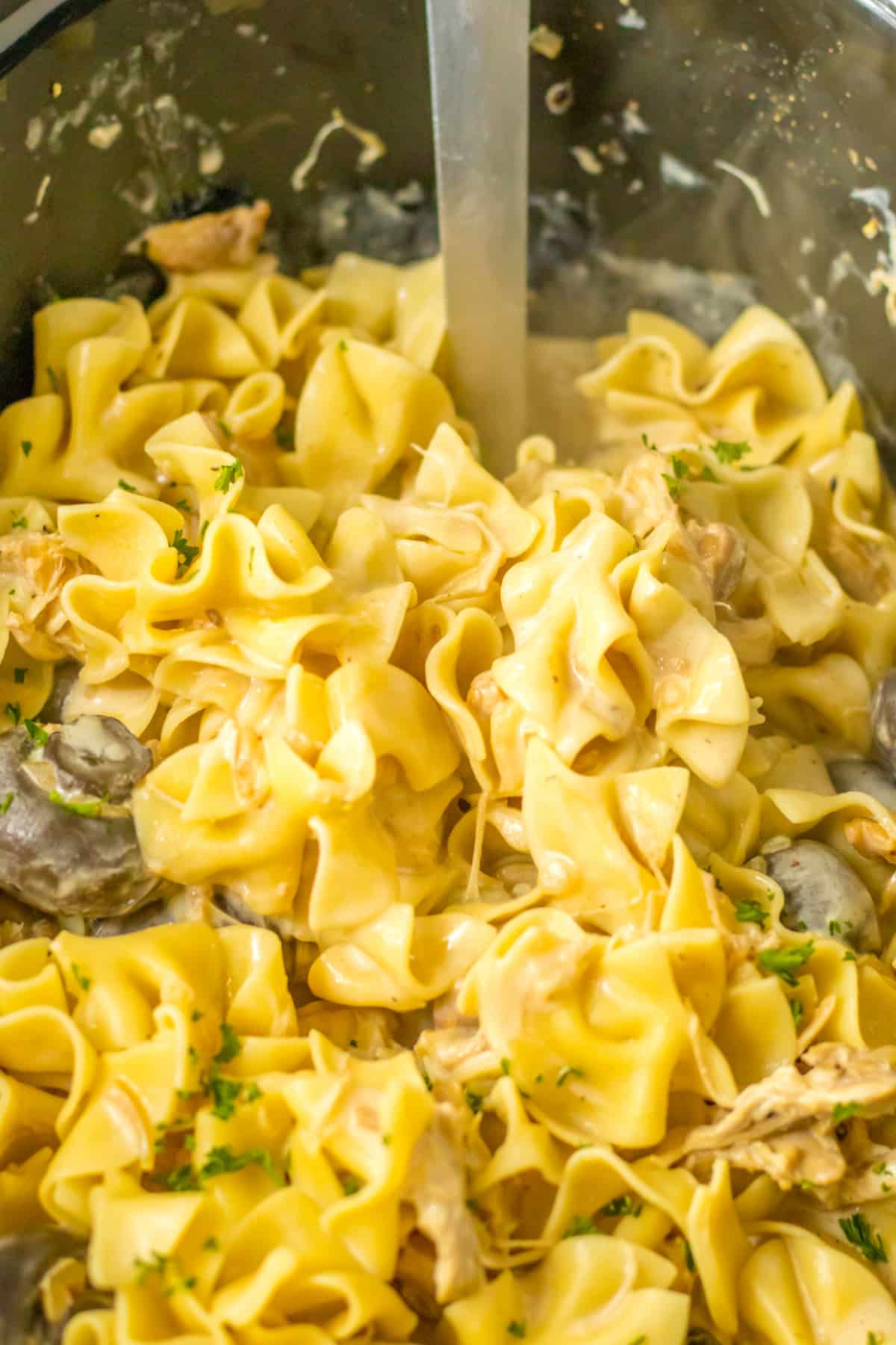 chicken mushroom stroganoff in a slow cooker.