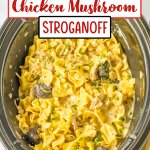chicken mushroom stroganoff in a slow cooker.