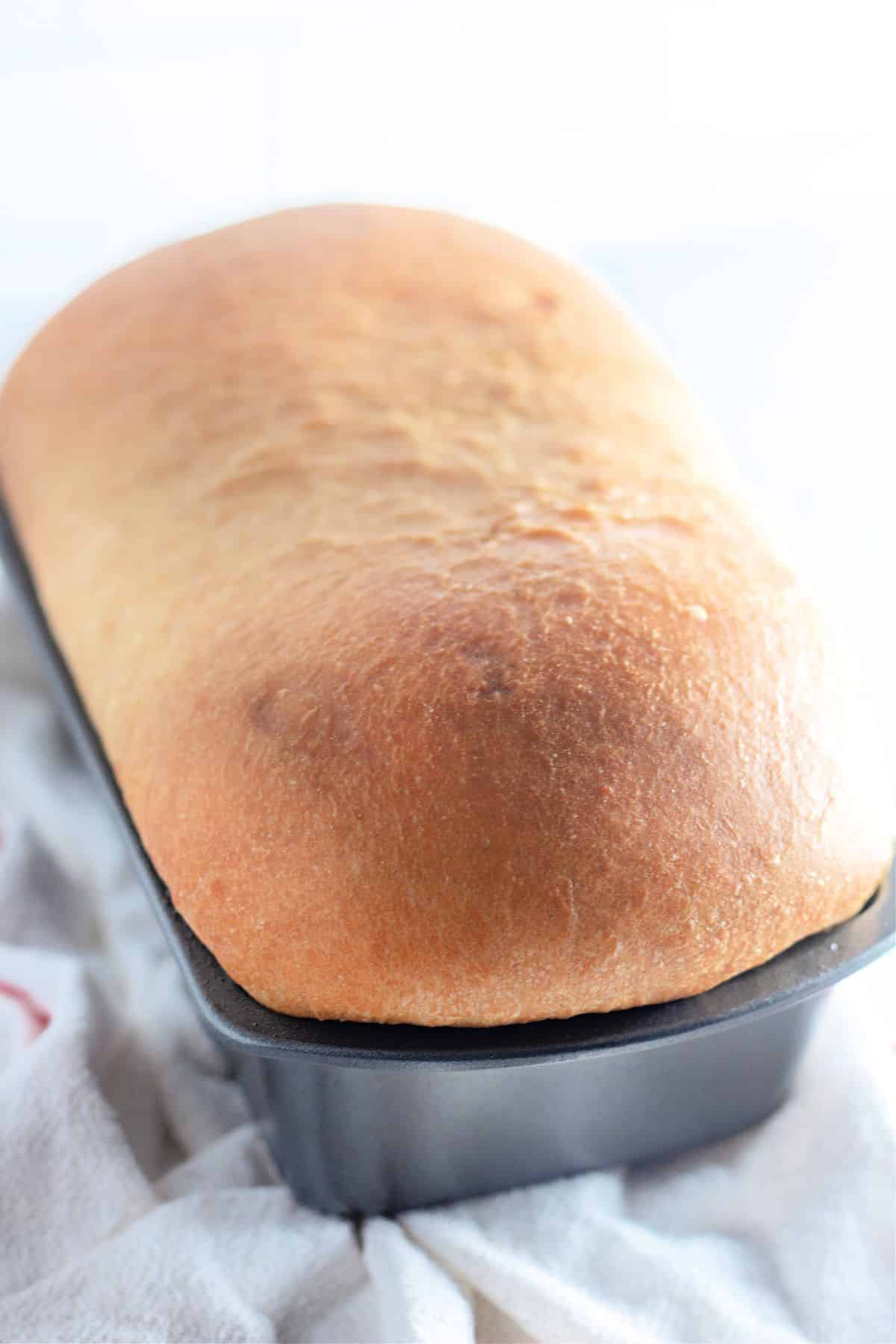 uncut country white bread loaf in a loaf pan.