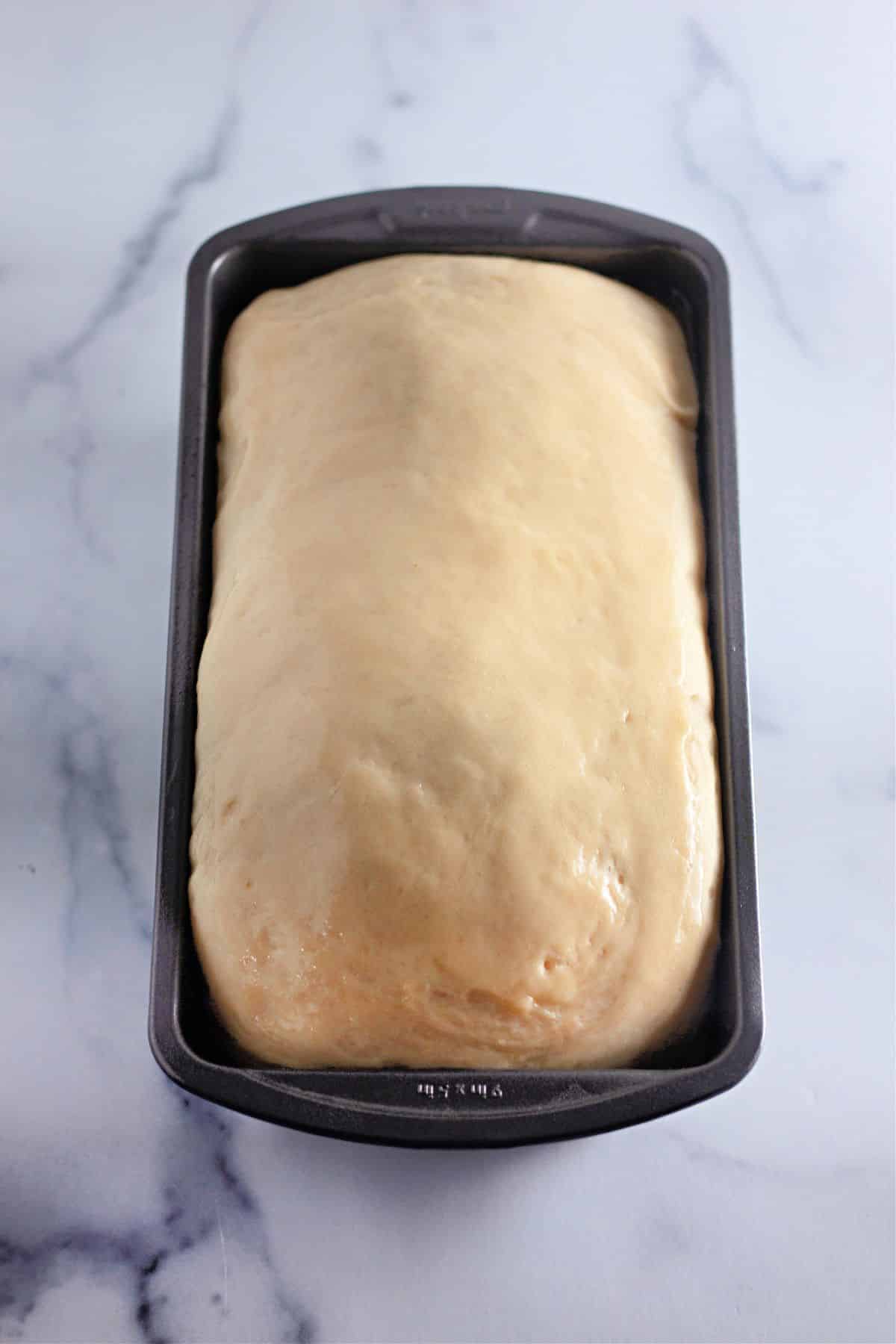 raw bread dough rising in a loaf pan.