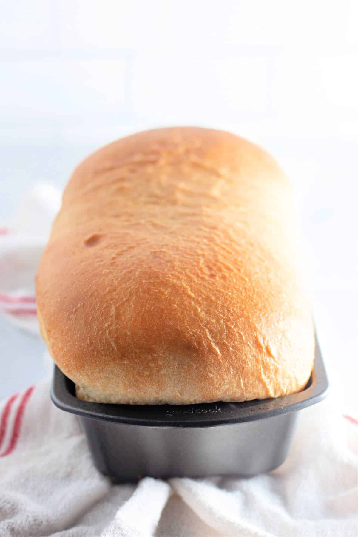 baked loaf of bread in a bread pan.