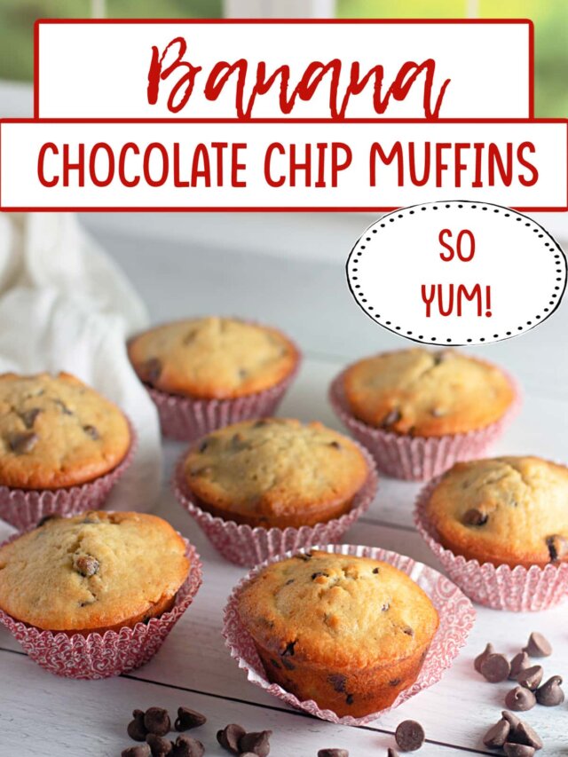 baked banana chocolate chip muffins on a backdrop.