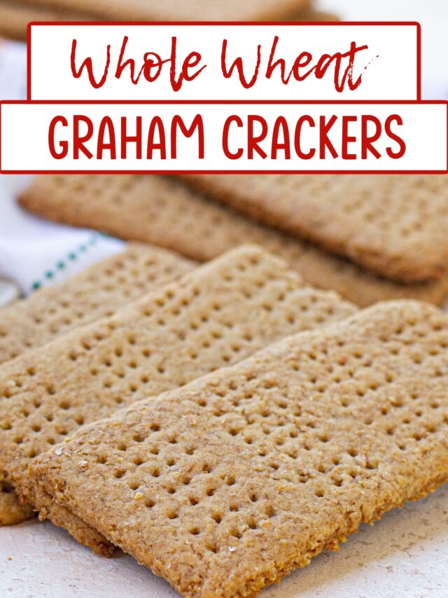 Whole Wheat Graham Crackers - Maria's Mixing Bowl