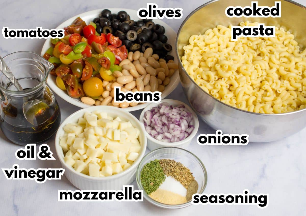 bowls of tomatoes, olives, beans, cooked pasta, oil and vinegar, mozzarella, onions, and seasonings.