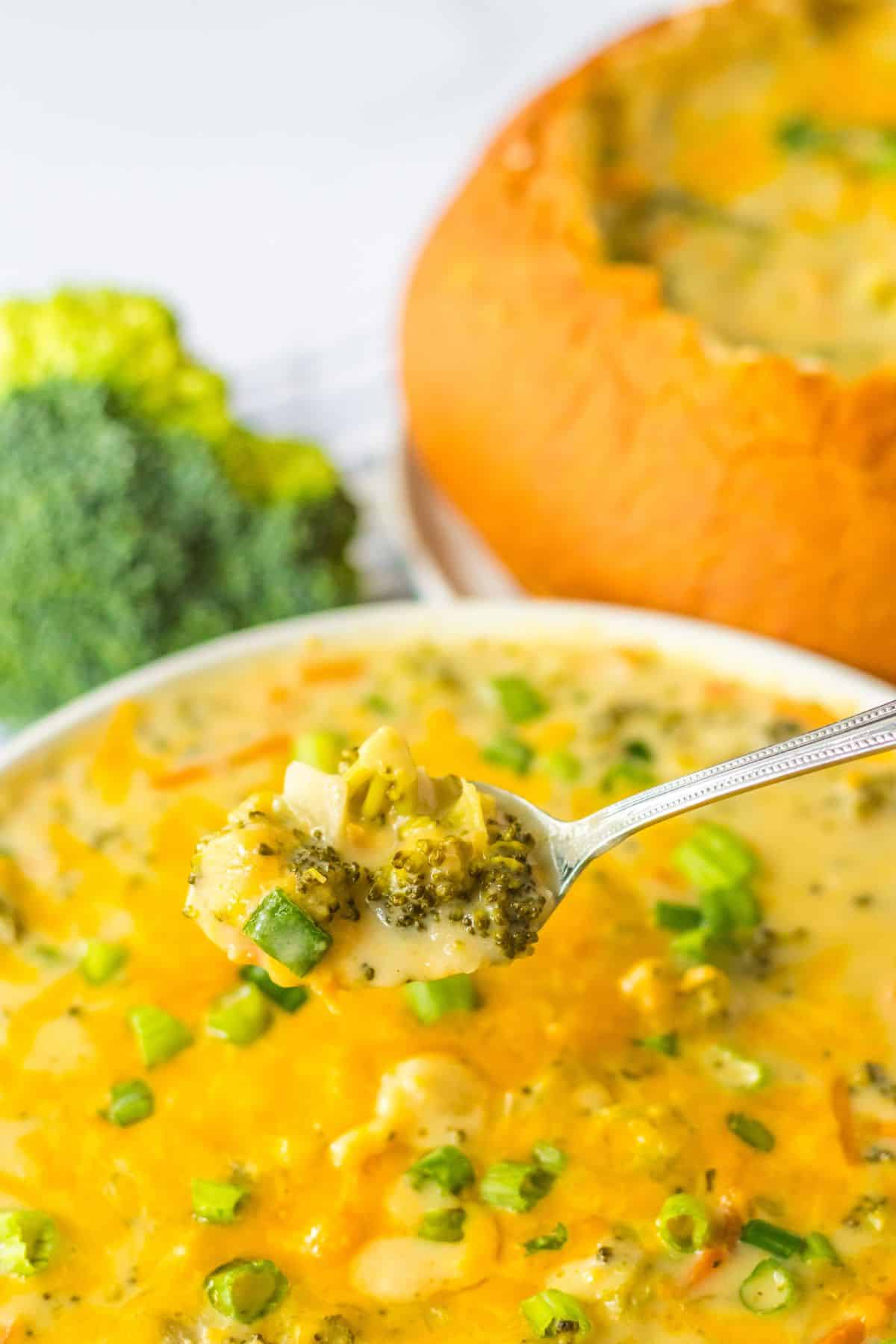 bite of slow cooker panera broccoli cheddar soup held in the air on a spoon.