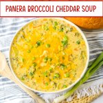 bowl full of slow cooker panera broccoli cheddar soup.