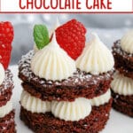mini chocolate cake on a plate topped with a fresh raspberry.