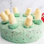 uncut mint chocolate chip cake on a cake stand.