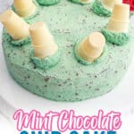 uncut mint chocolate chip cake on a cake stand.