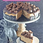reeses cheesecake with a slice missing on a cheesecake stand.