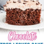 slice of chocolate tres leches cake on a plate