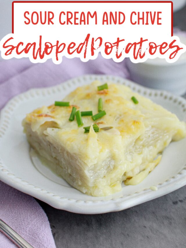 slice of sour cream and chive scalloped potatoes on a plate.
