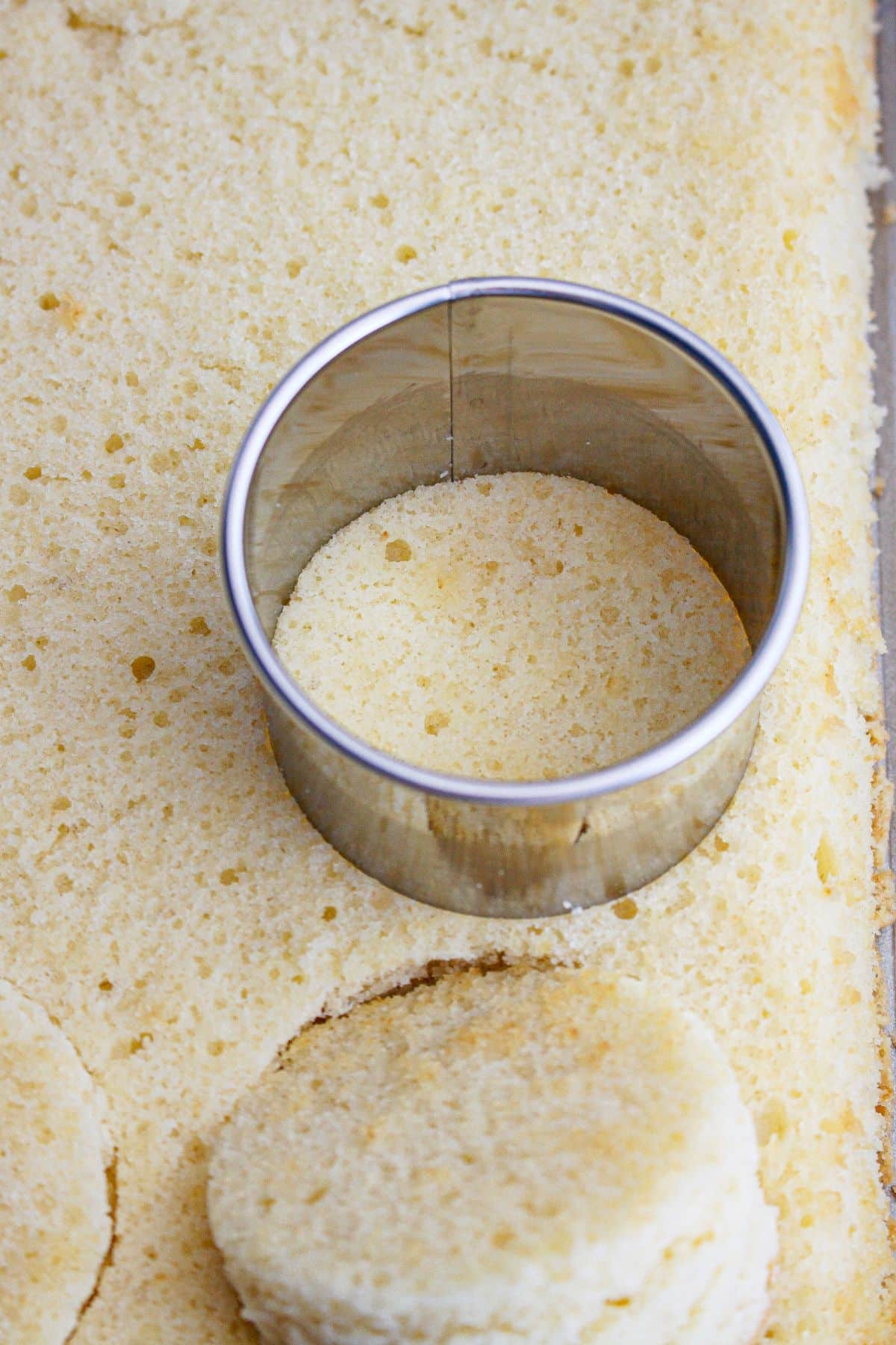 small cake circles being cut out.