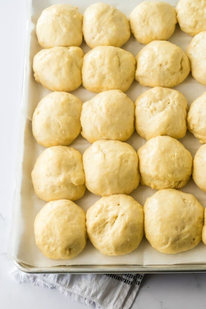 raw rolls rising on a parchment lined baking sheet.