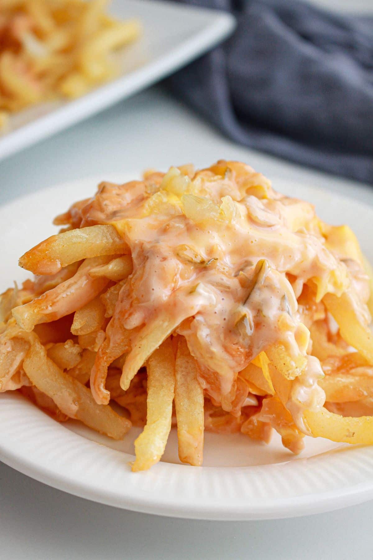 plate of animal fries on a counter.