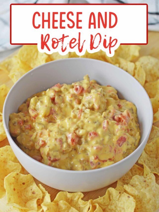 bowl full of cheese and rotel dip surrounded by tortilla chips.