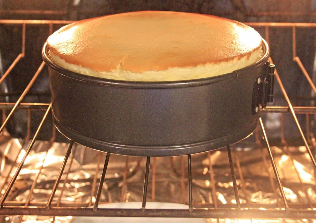 cheesecake baked in the oven in a springform pan.