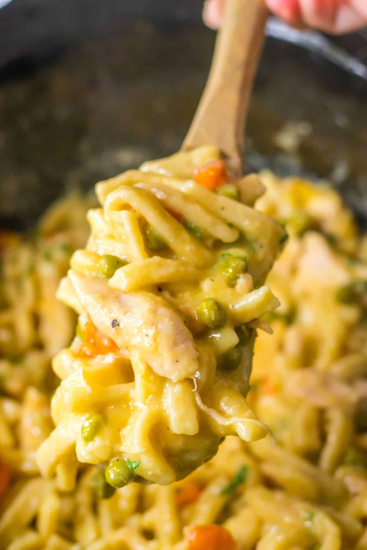 bowl full of slow cooker chicken and noodles.