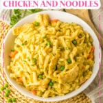 bowl full of slow cooker chicken and noodles.