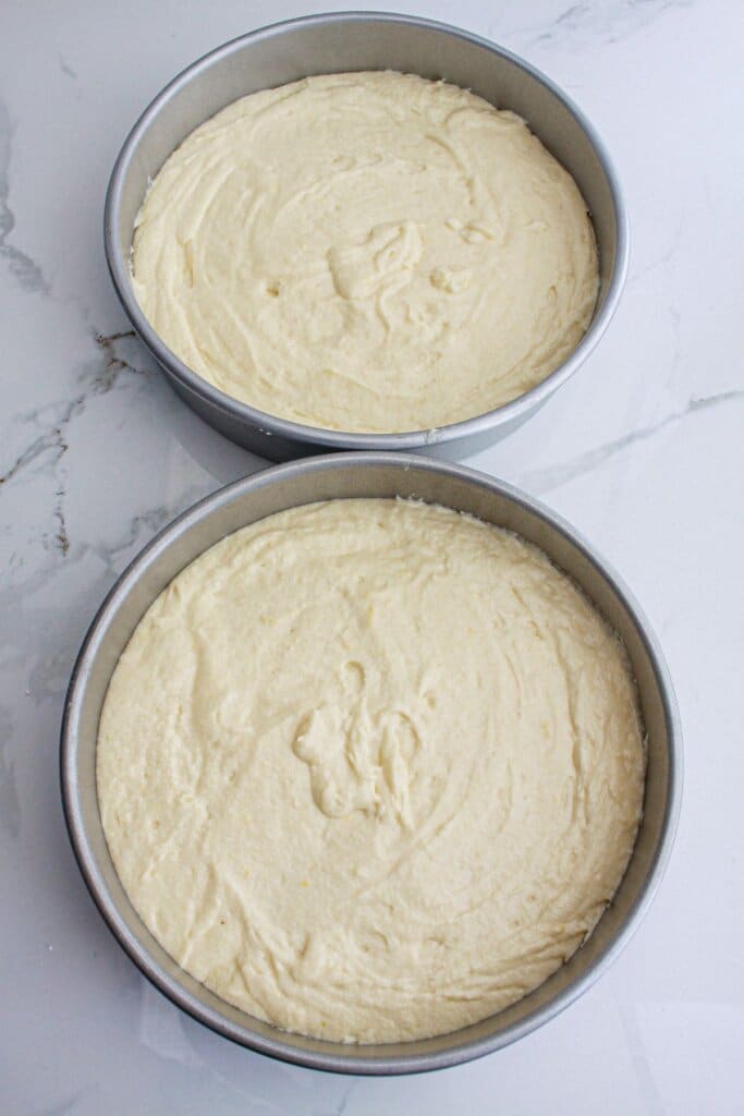 cake batter in two different round cake pans.
