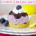 mini blueberry lemon cheesecake on a small plate with lemon slices and fresh blueberries.