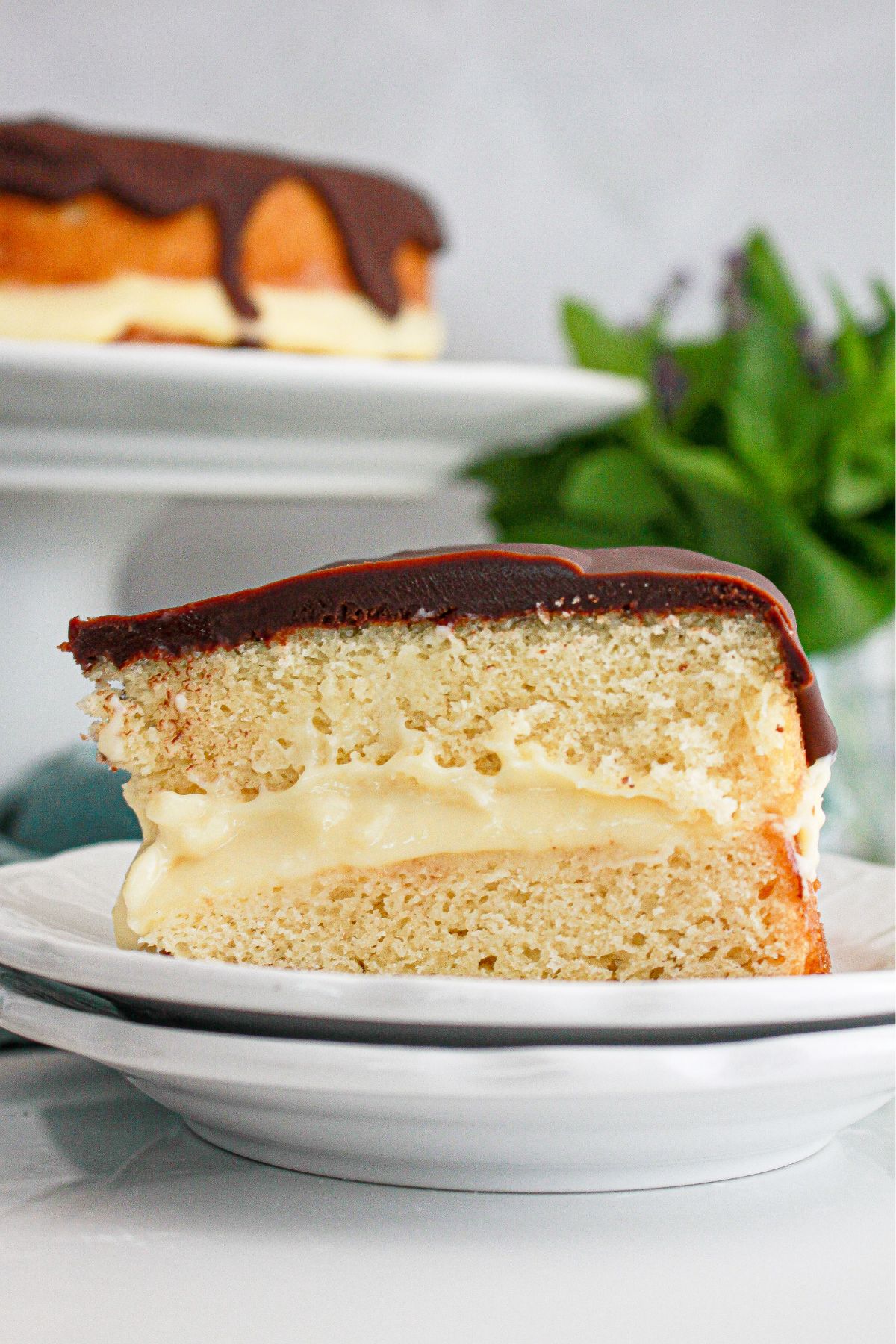 Slice of boston cream pie cake on a small plate.