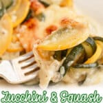 plate full of zucchini and squash au gratin.