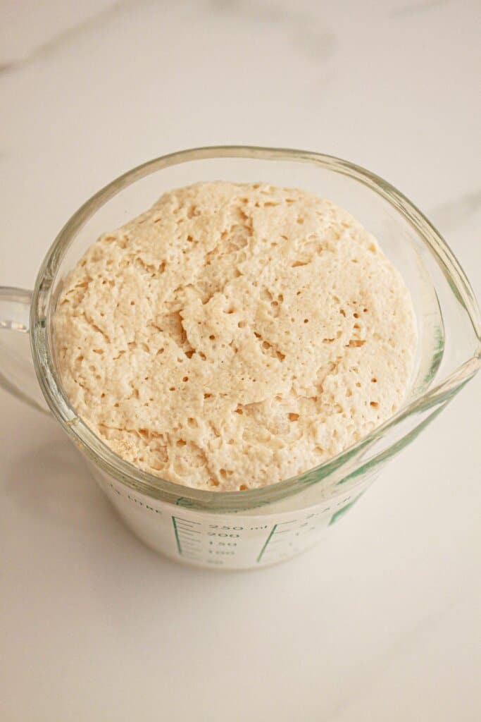 Yeast blooming in a glass mixing bowl.