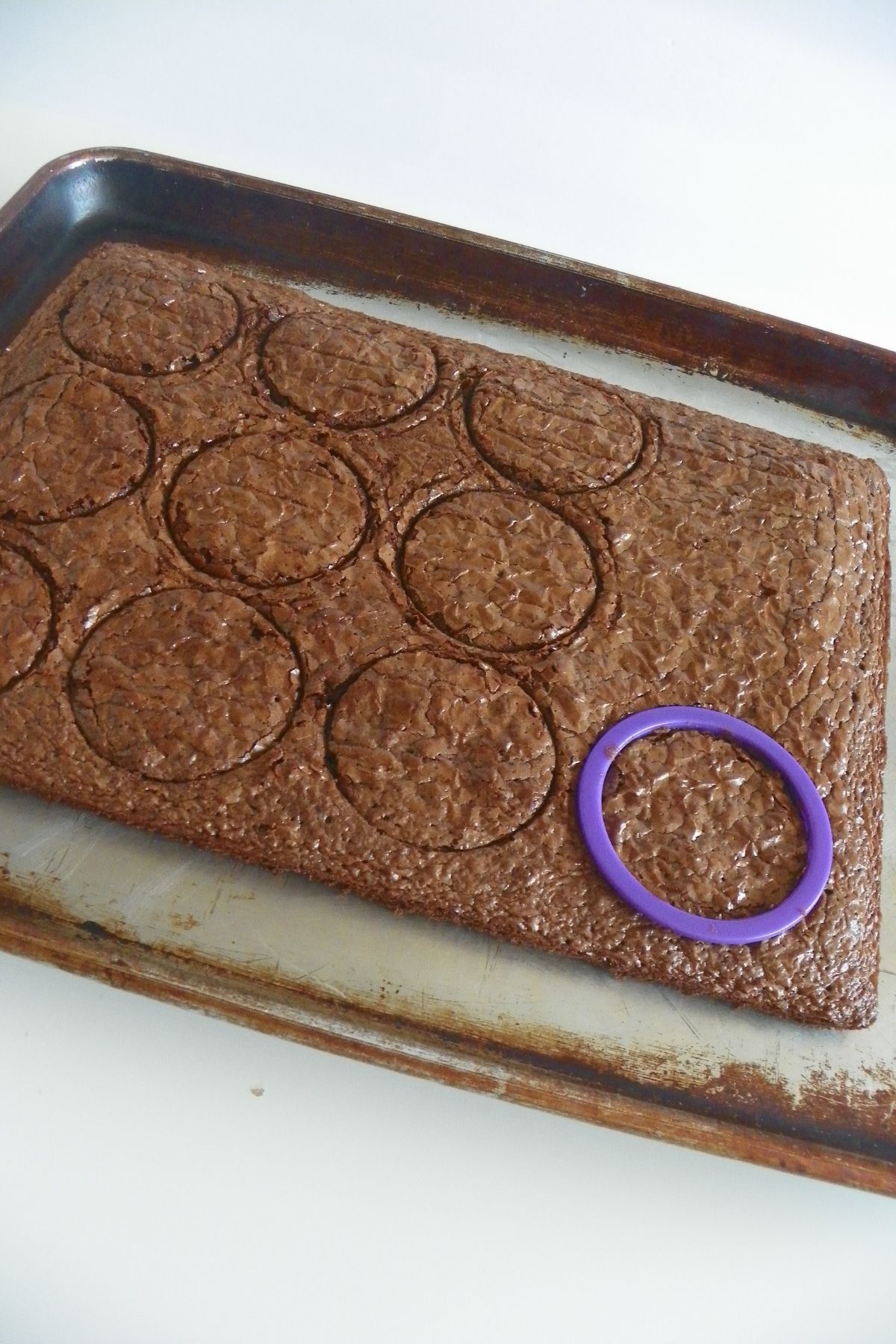 Circle brownies being cut out.