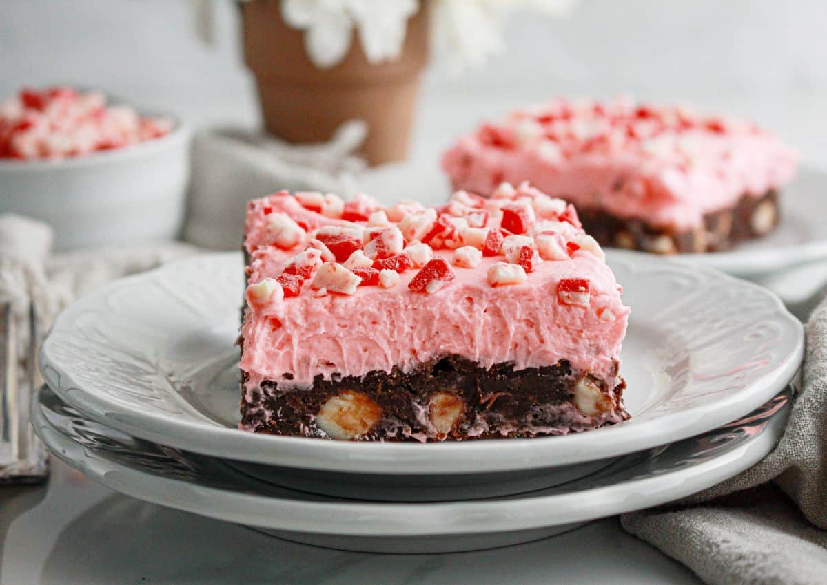 Brownie on a plate.