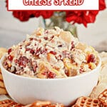 Cranberry cream cheese spread in a bowl.