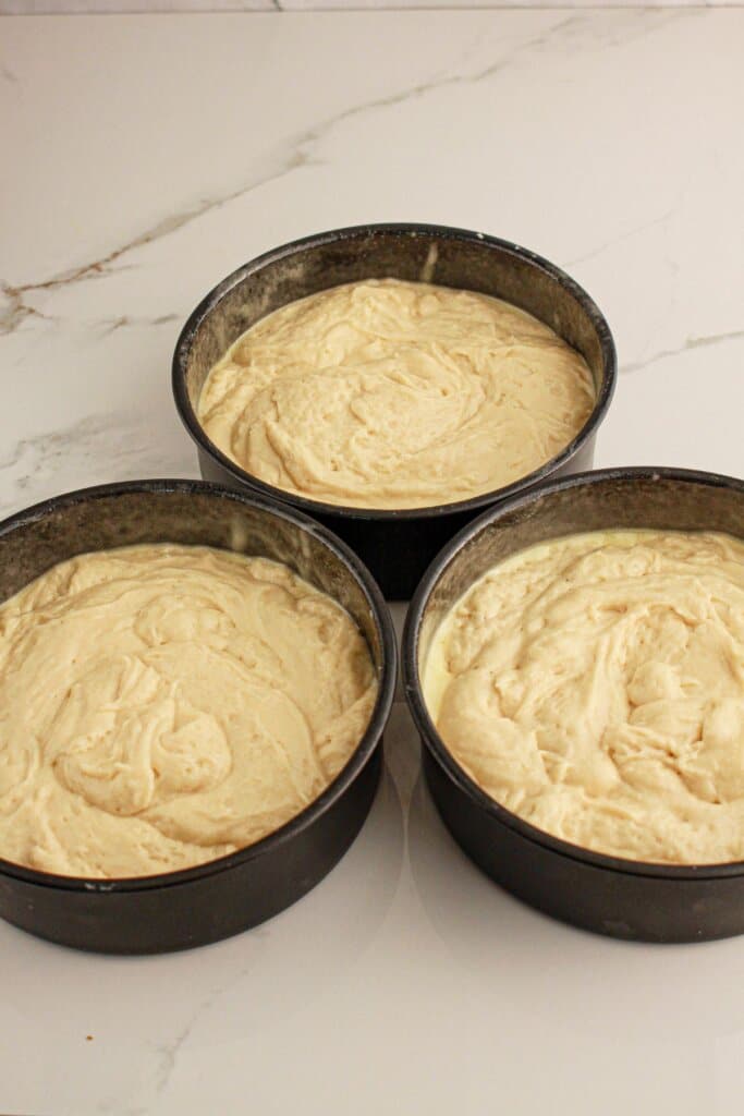 Cake batter in three round cake pans.