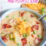 Bowl of creamy chicken potato soup