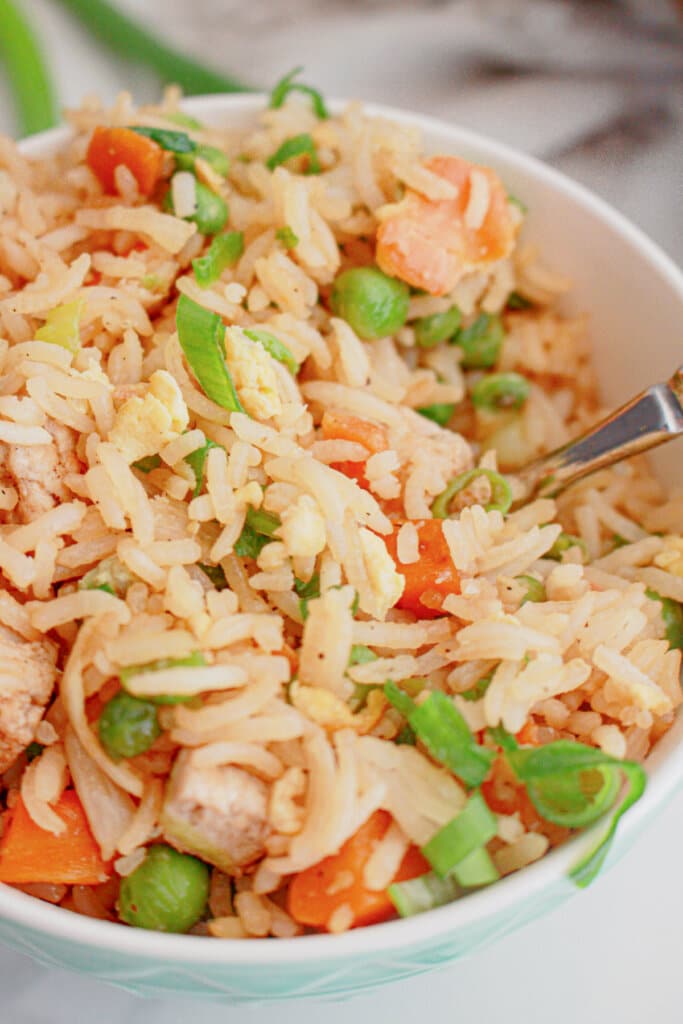 Bowl full of chicken fried rice on a counter.