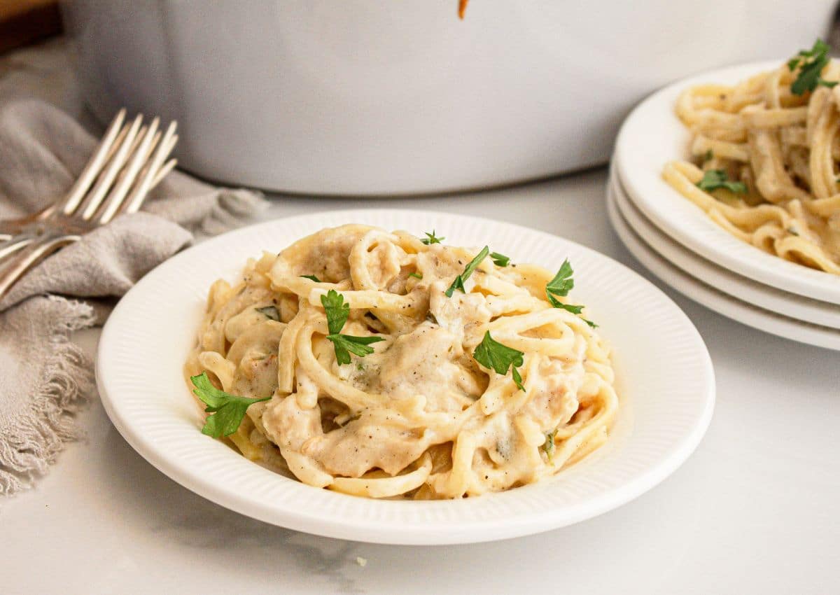 Plate full of easy chicken tetrazini.