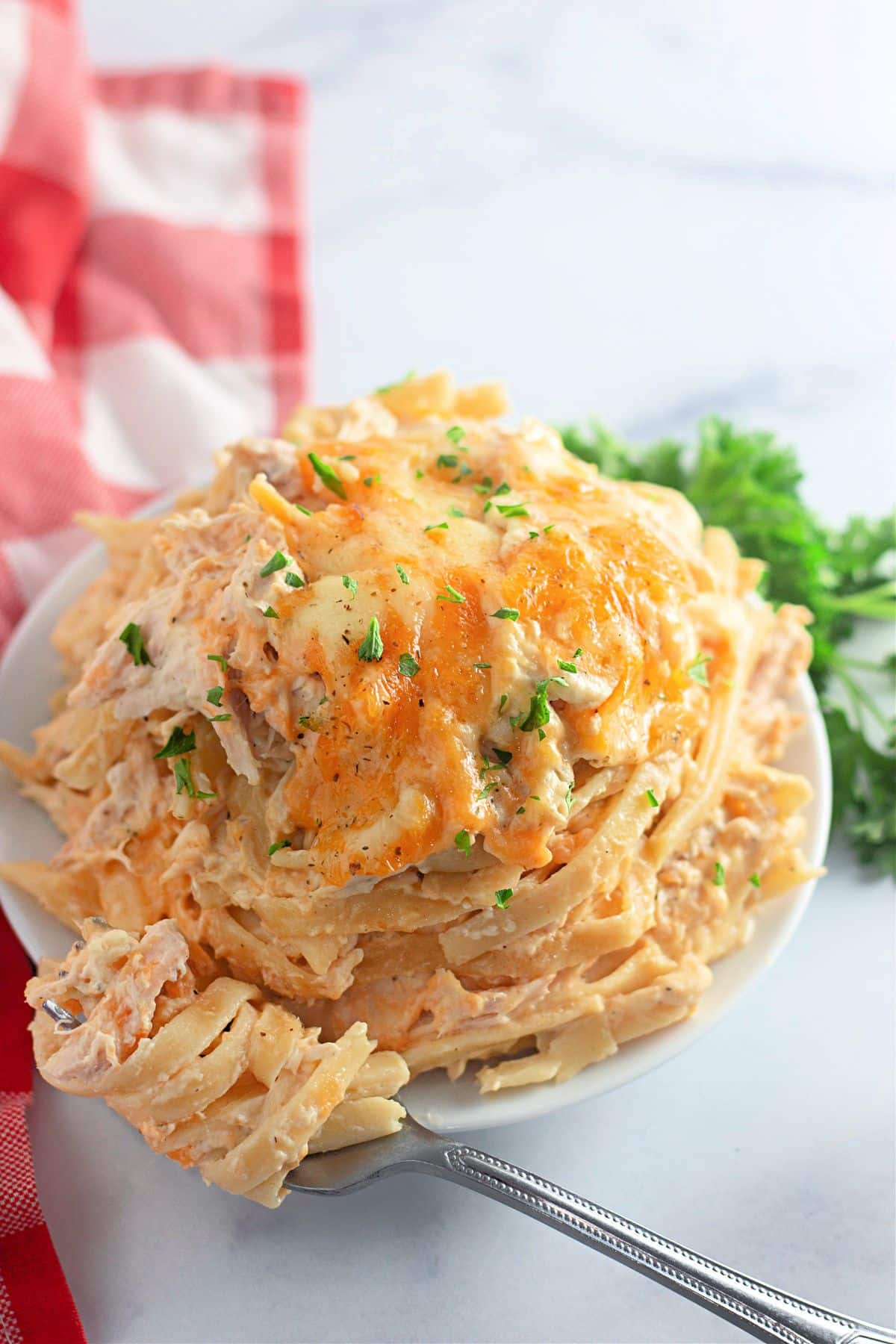 Plate full of chicken tetrazzini.