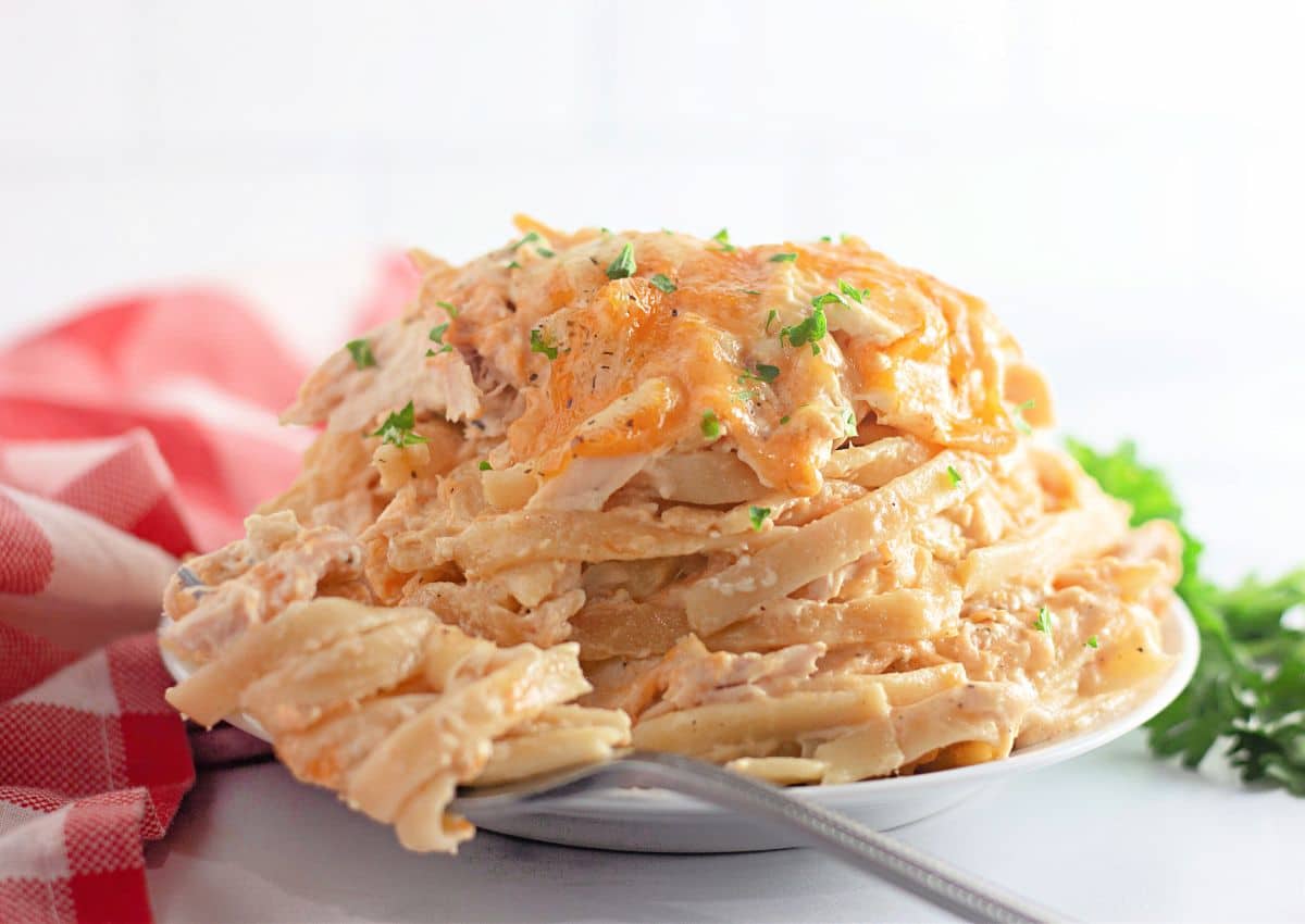 Plate full of chicken tetrazzini.