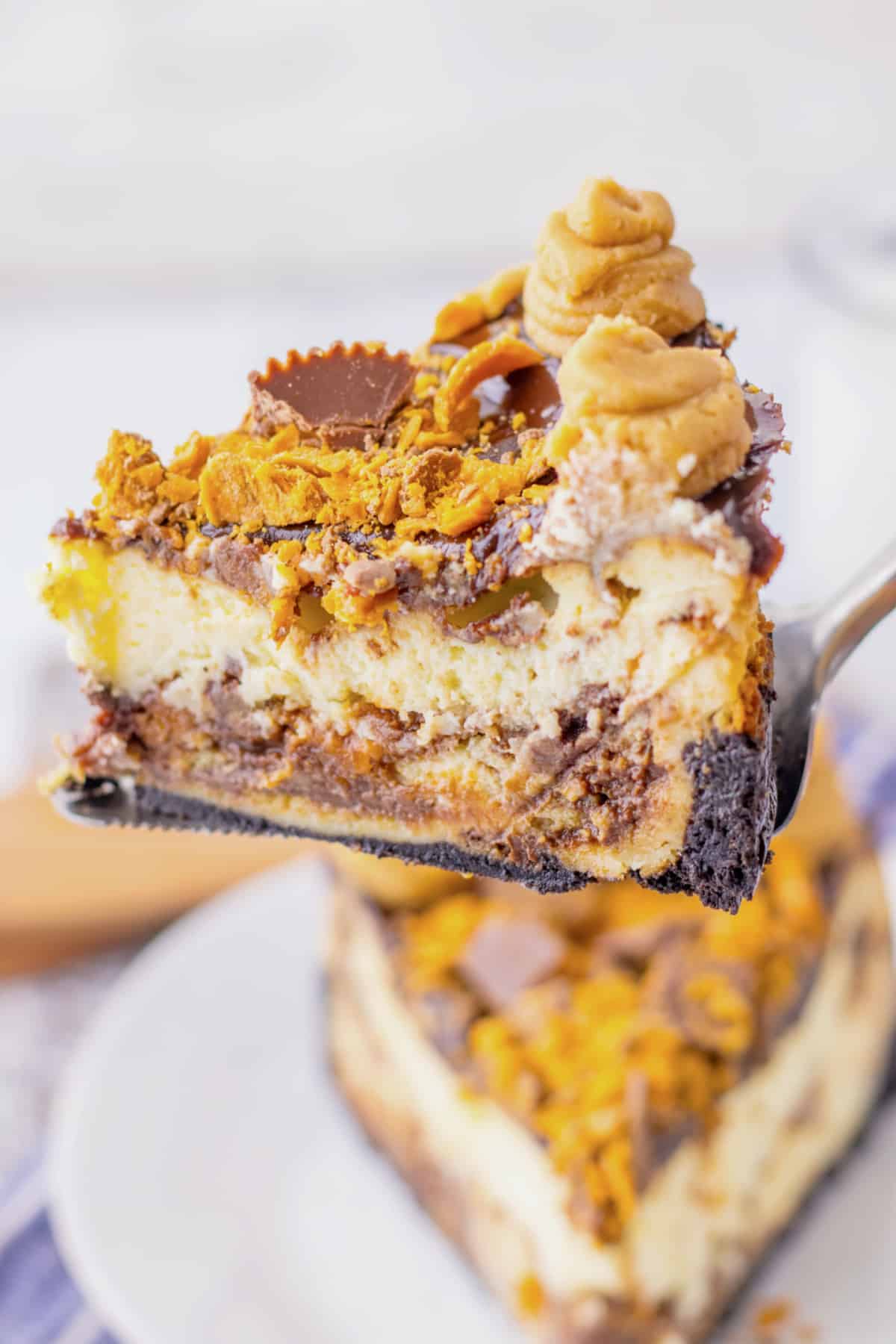 Slice fudge ripple cheesecake on a plate.