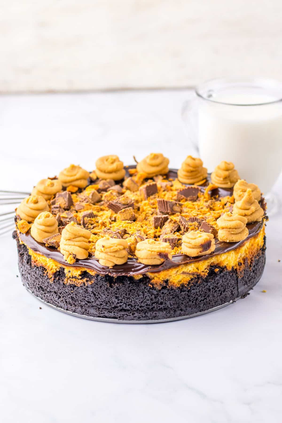 Peanut butter cheesecake on a plate.